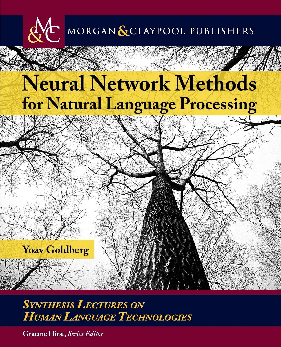 Neural Network Methods for Natural Language Processing (Synthesis Lectures on Human Language Technologies, 37)